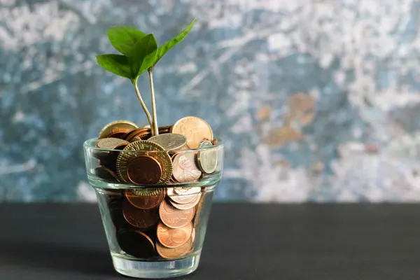 HOW MUCH SHOULD I PUT DOWN ON A HOME? CAN I BUY WITH LESS THEN 3% DOWN?,Sarah Bourke