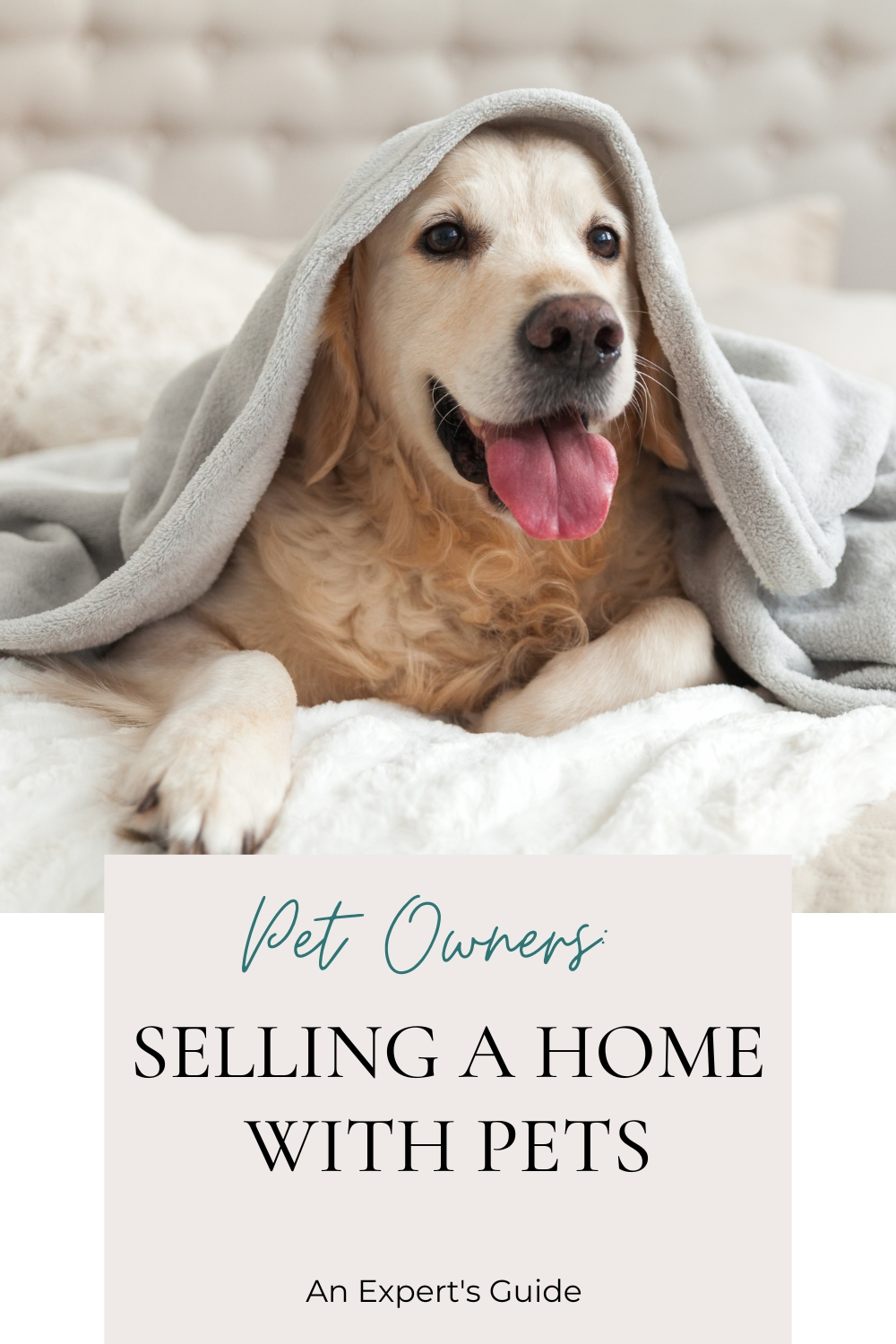 How to sell a home when you have dogs cats