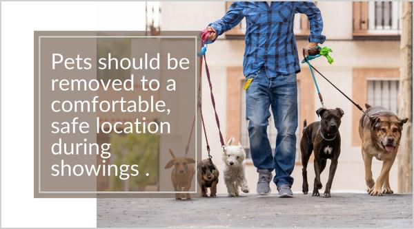 Should you remove pets during a showing