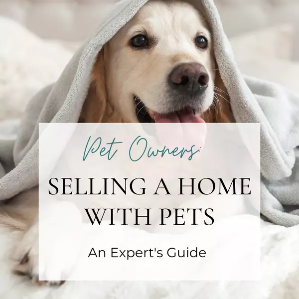 Tips for Selling a Home with Pets,Julie Endsley