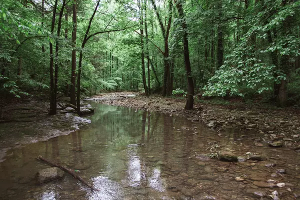 The Ozarks: A Natural Wonder in the Heart of America,Denver Wade