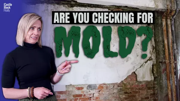 Mold Inspection vs Mold Testing: Know the Key Distinctions in Real Estate Contracts,Bobbi Brandt