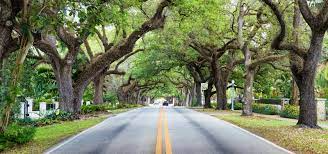 Stunning image showcasing the beautiful blend of historic Mediterranean Revival-style homes and modern luxury condos lining the tree-shaded boulevards of Coral Gables, Florida.