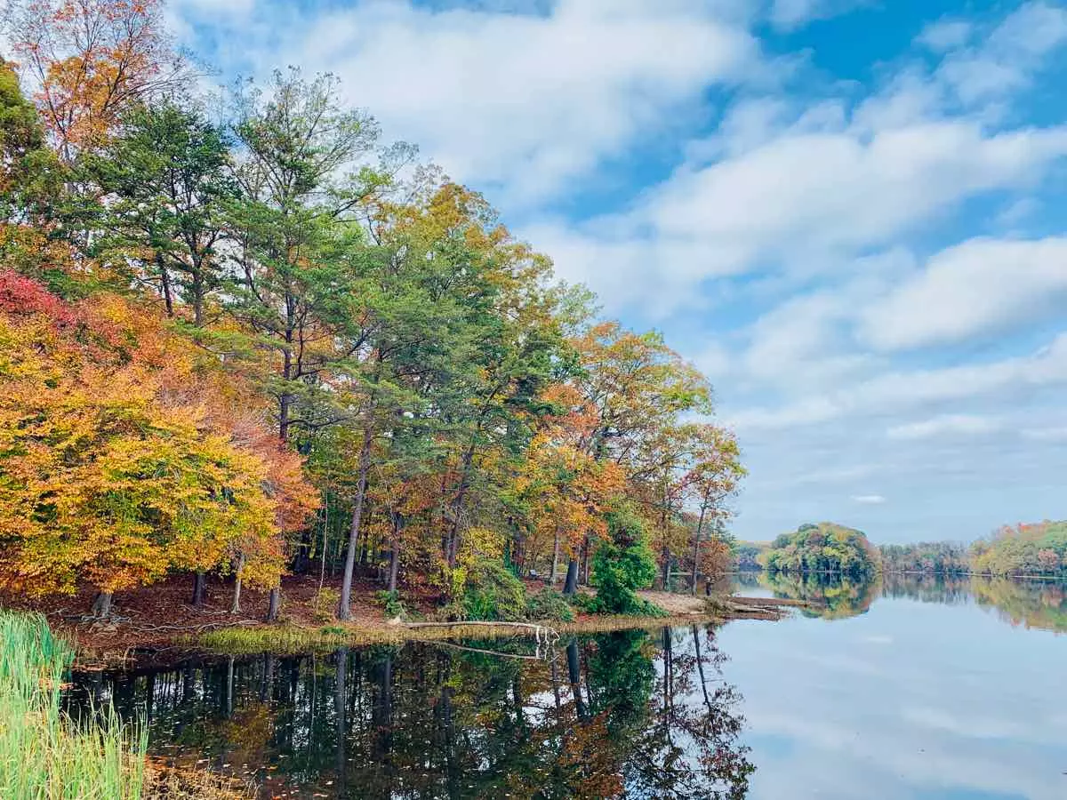 Burke Lake