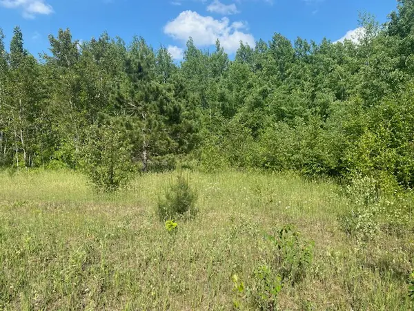 10 Wooded Acres in McGrath,Chuck Carstensen