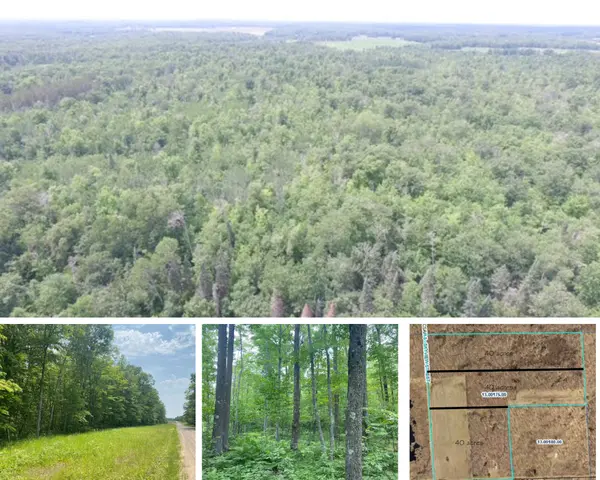 40 Secluded/Wooded Acres in Brook Park,Chuck Carstensen