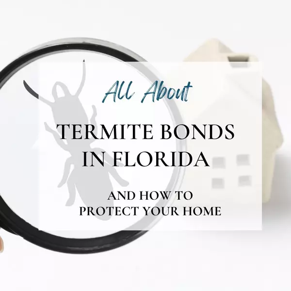 All about Termites - What is a Termite Bond, How to Prevent Termite Damage,Julie Endsley