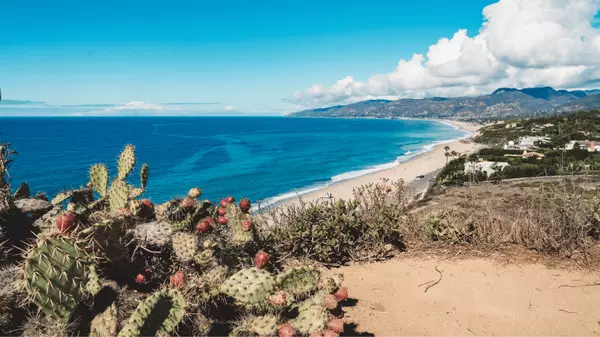 Navigating the Malibu Real Estate Market: A Comprehensive Guide