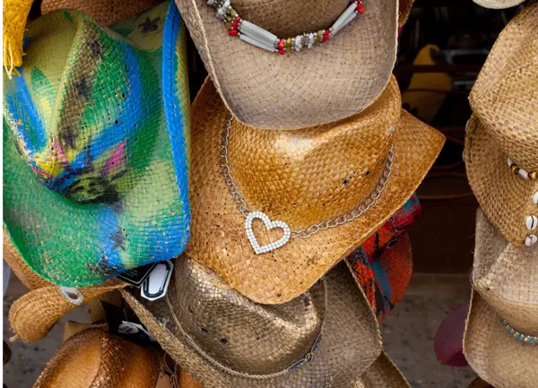 Your Complete Montana Travel Guide: Tips and Itinerary,Dawn Maddux