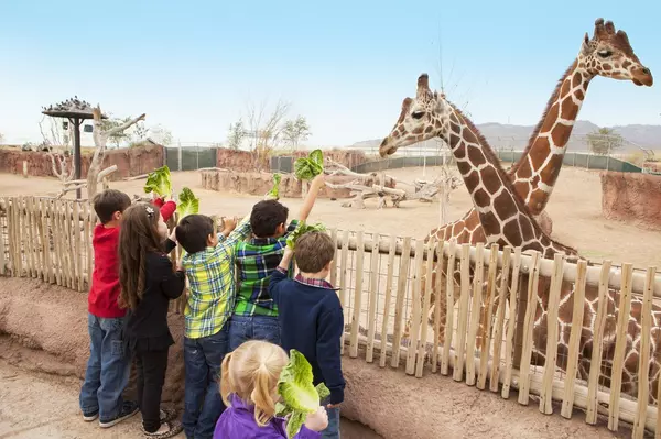 El Paso's Family-Friendly Attractions: A Guide for Homebuyers with Kids,Alexa Peña