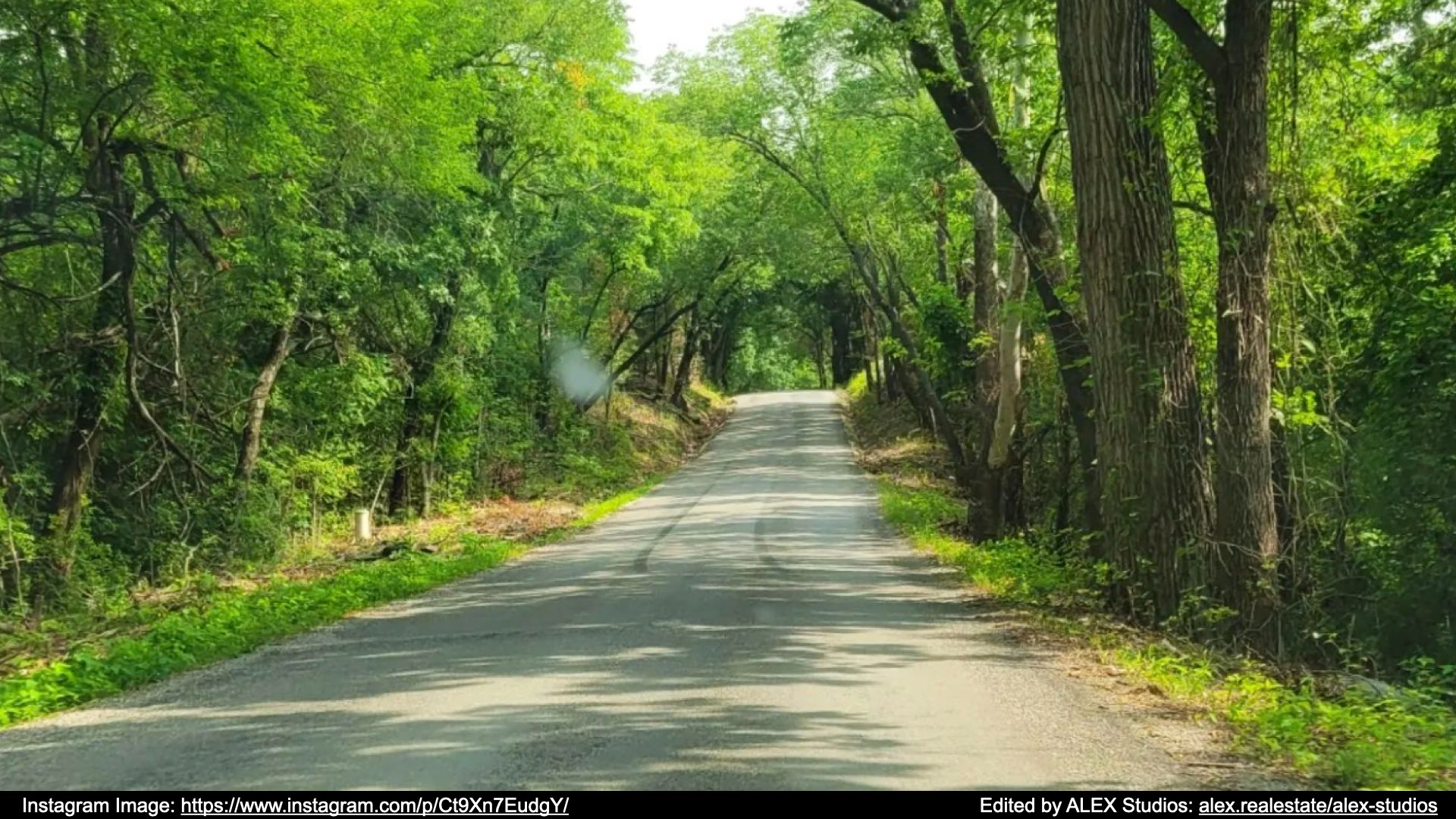 Fannin County TX Real Estate and Homes for Sale by ALEX.realestate