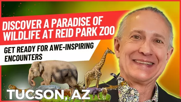 Discover the Magic of Reid Park Zoo: A Captivating Wildlife Adventure,Ken Nelson