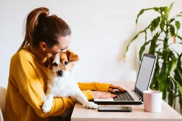 The Benefits of Working From Home,Alexa Pena