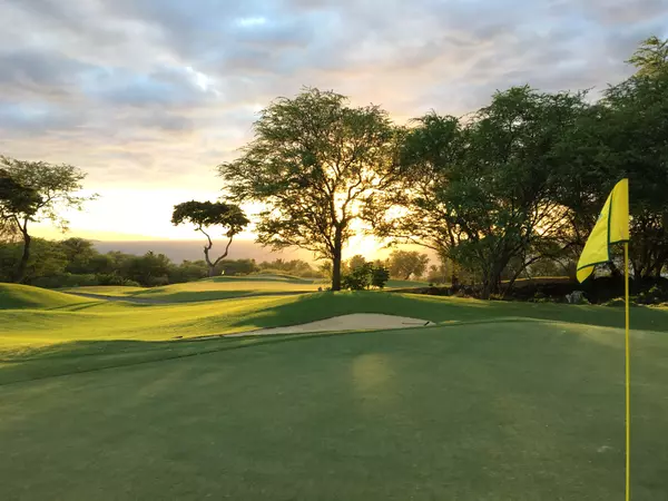 Where to Golf on Maui: Unveiling Paradise's Finest Courses,Gray Marino