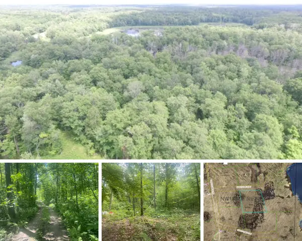 Secluded 1.65 Acres of Land in Boy River,Chuck Carstensen