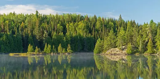 St Paul Minnesota Real Estate