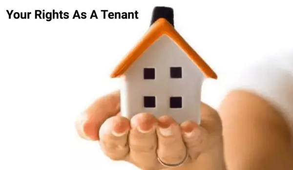 What you need to know as a tenant,Ana Bastas