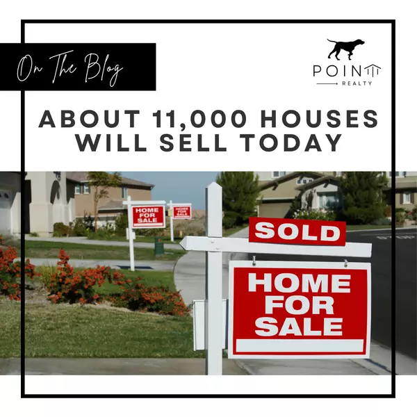 About 11,000 Houses Will Sell Today,Stephanie Deeds