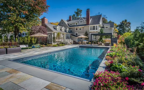 Custom Back Yard