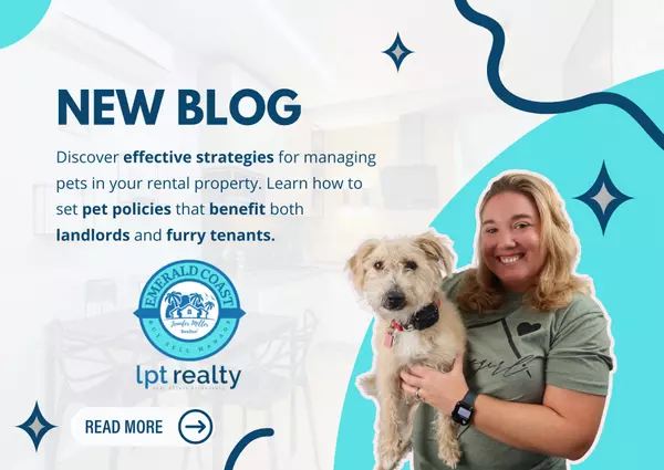 feature image of Pet Policies: How to Manage Furry Tenants