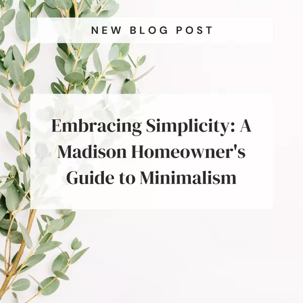 Embracing Simplicity: A Madison Homeowner's Guide to Minimalism,Ally Figiel