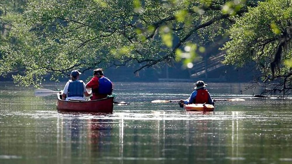 kayakers in colleton state park