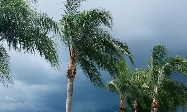 Helpful Tips for Any Stormy Weather in Southwest Florida,Meagan Pierce