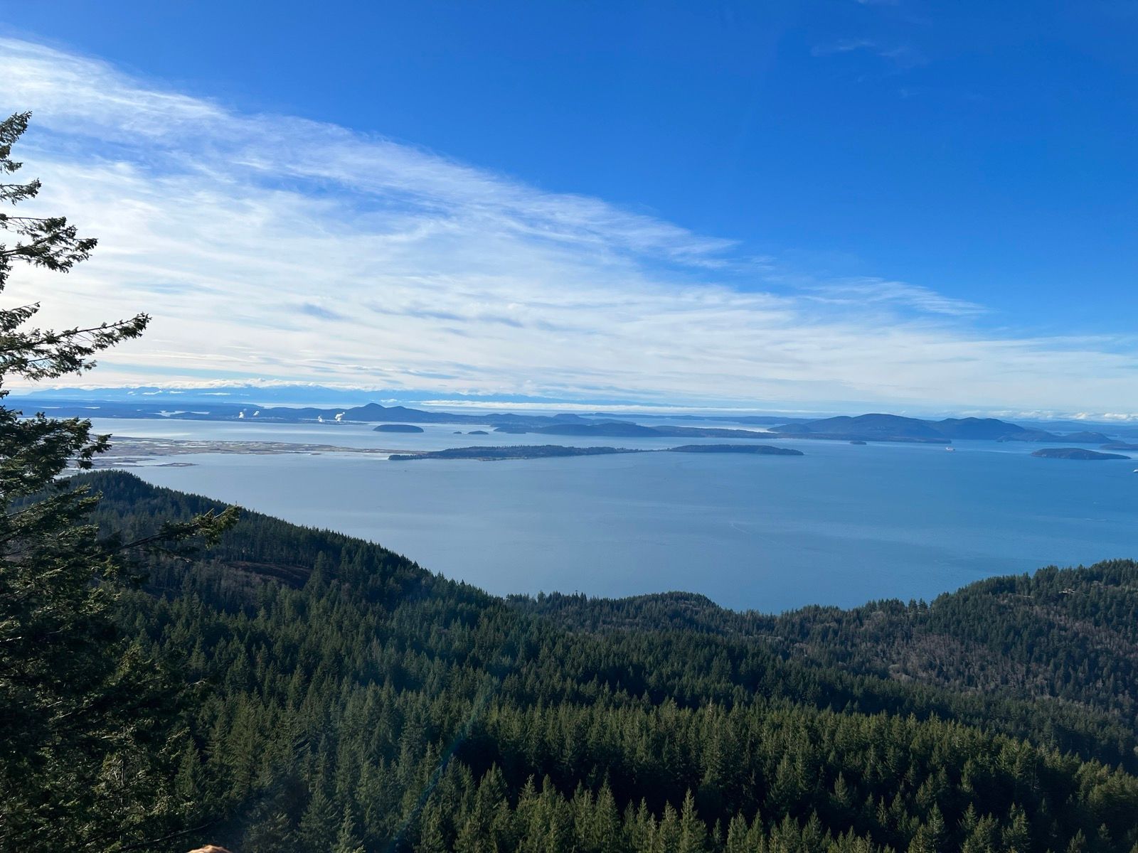 Oyster Dome 