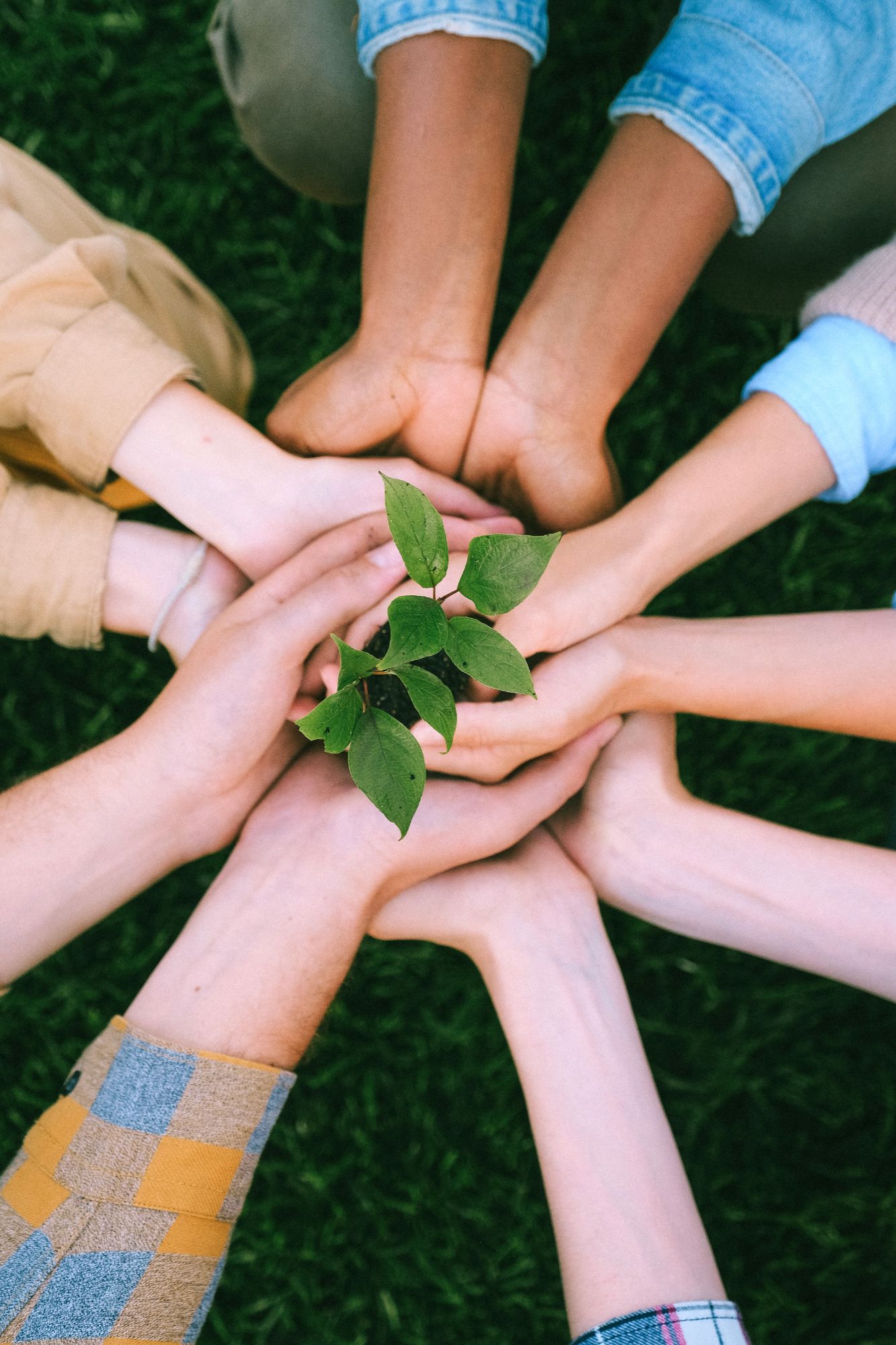 Adapting to Change: Settling into Your New Home Outside of Illinois
