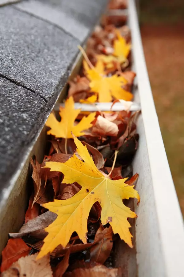 Fall Home Maintenance Tips,Denise Hodgins