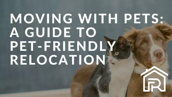 Moving with Pets: A Guide to Pet-Friendly Relocation