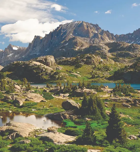 Pinedale