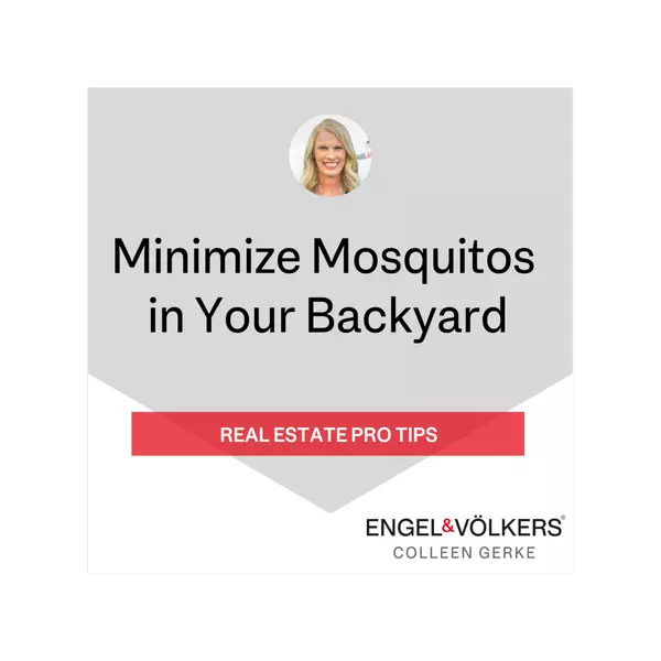 How to Minimize Mosquitos in Your Backyard