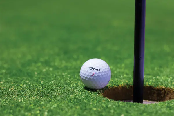 Golfing in Southwest Florida,Billee Silva, PA, ABR SRS