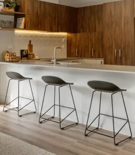 Beautiful Design and Sustainability? Yes!,Tom Carroll