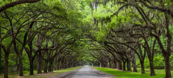 Why you should live in Mandarin Jacksonville