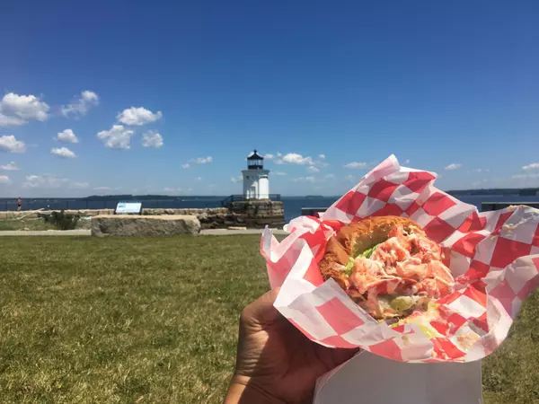 #8 Best Food Tour in the nation by the reader poll of USA Today || Maine Day Ventures