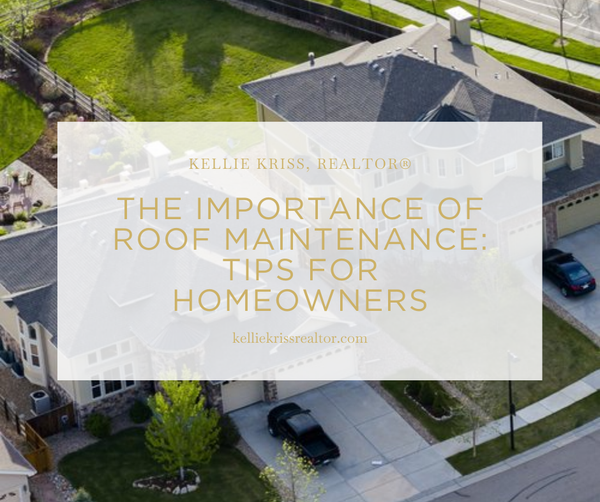 The Importance of Roof Maintenance: Tips for Homeowners,Kellie Kriss