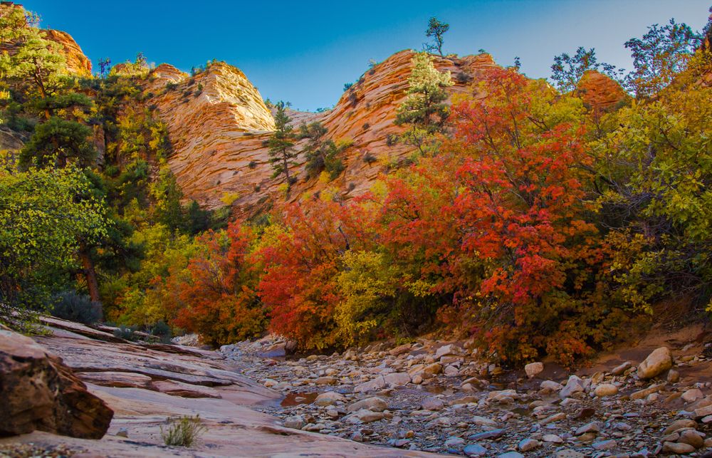 Best hikes in zion national park in october hotsell