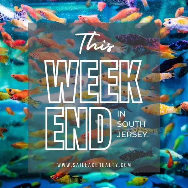 South Jersey's Weekend: Art, Music, Markets, and Aquatic Adventures Await!,Michelle McMaster
