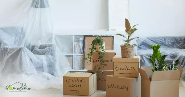 5 Ways to Make Your Next Move More Sustainable,Megan Denham