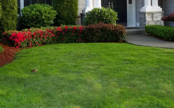 Fall Lawn Care Guide: Get Your Yard Ready for the Cozy Season,Christopher Beal