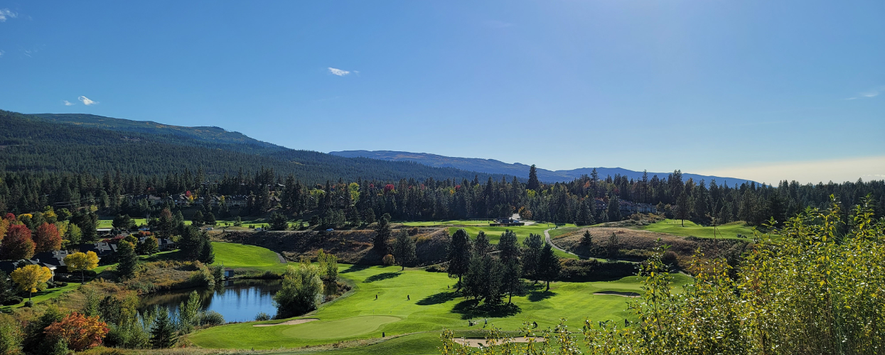 gallaghers canyon kelowna from above