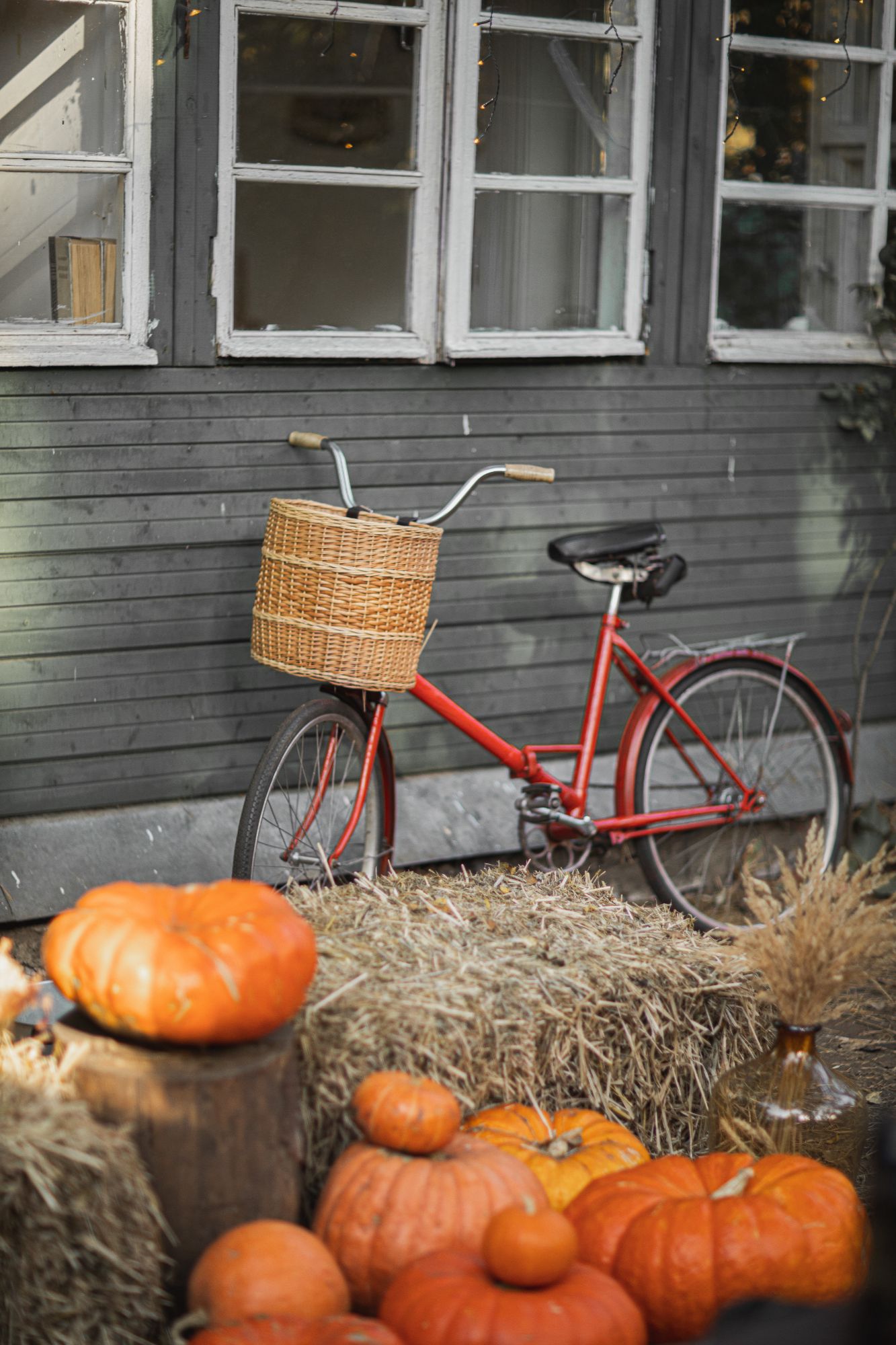 Fall Landscaping Tips for a Stunning Chicago Southwest Suburb Home