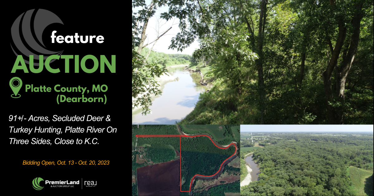 Real Estate Dennis Prussman Premier Land & Auction Group LLC, R...