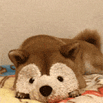 1719 Harmil WAY, San Jose, CA 95125