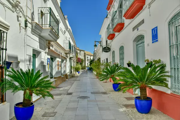 The Neighborhood Renaissance: Investing in Up-and-Coming Areas,Michelle McMaster