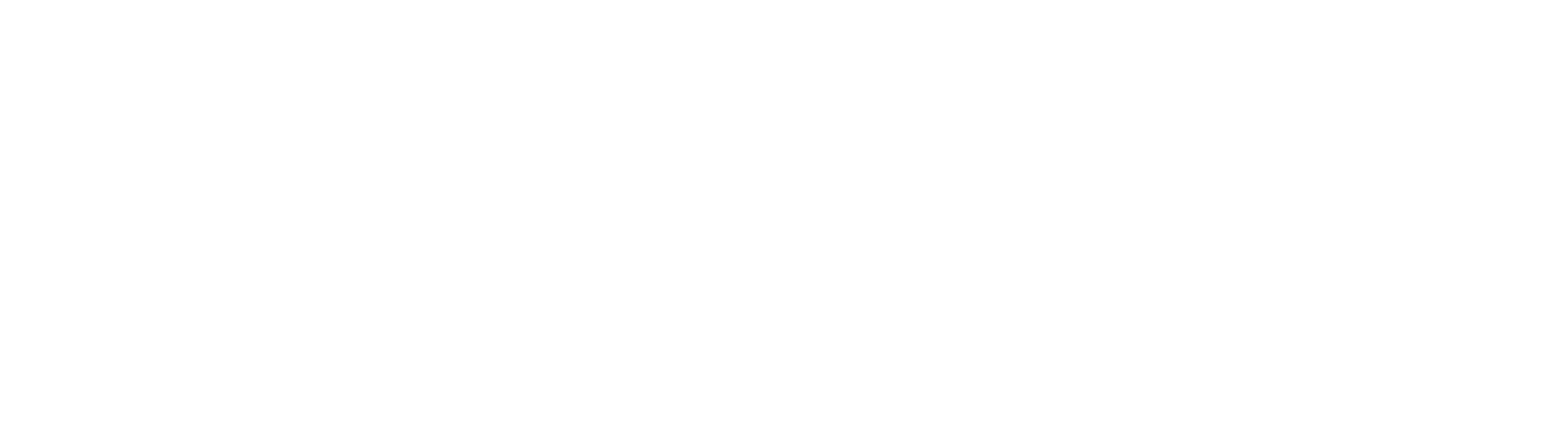Logo - Transparent white