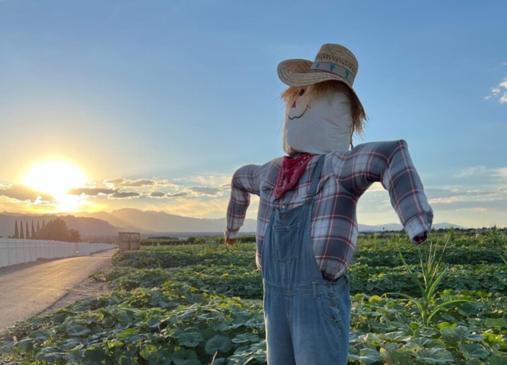 Best of Las Vegas: Fall Activity Guide
