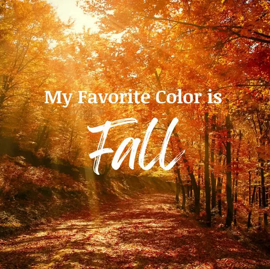 What to Look forward to this 2023 Fall season 